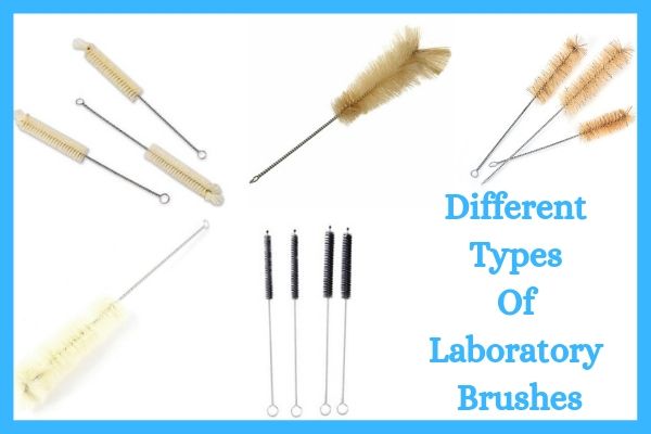 Different Types Of Laboratory Brushes